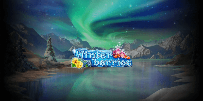 Winter Berries logo