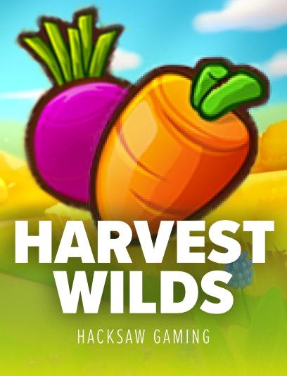 Hacksaw Gaming slot by hacksaw-gaming ⚡ popular NZ pokie